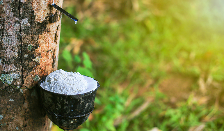 Rubber from Ghana